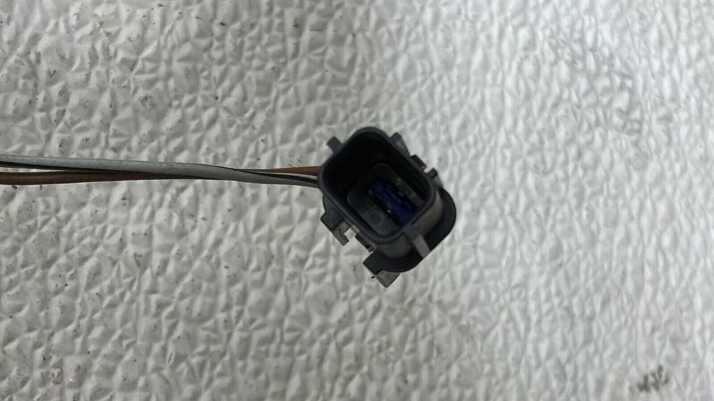 19-20 Hyundai Santa Fe Rear Bumper License Plate Light Lamp W/ Camera Option OEM