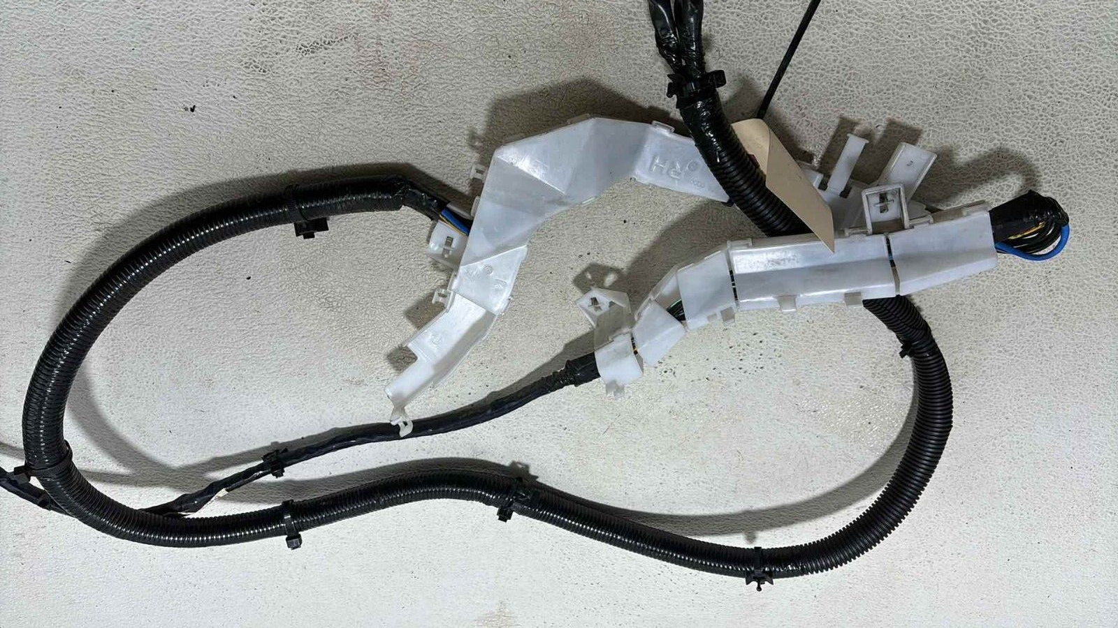 03-06 Nissan 350Z Right Convertible Trunk Wiring Harness Wire Oem 24015-Ev01B