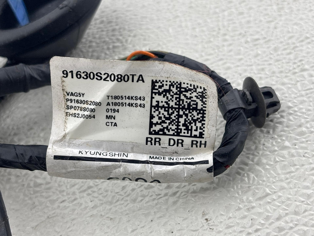 19-20 Hyundai Santa Fe Rear Right Door Wire Wiring Harness Oem 91630S2080Ta