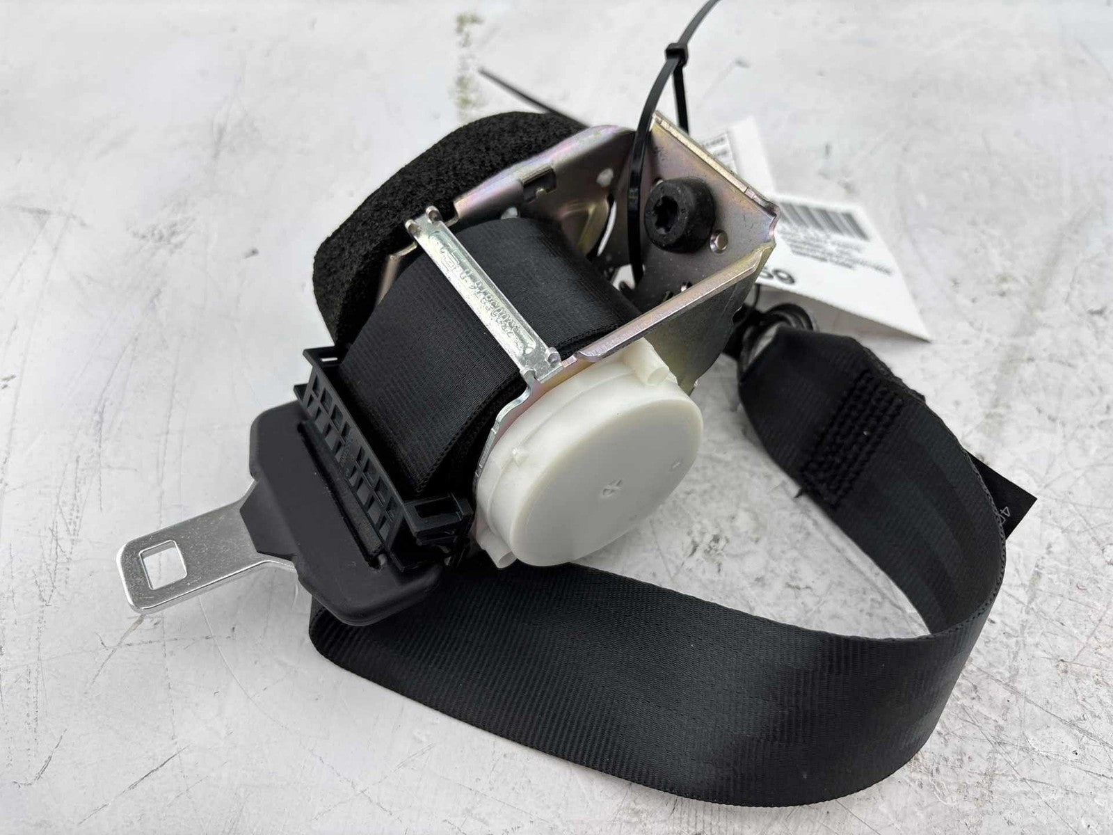 16-18 Ford Focus Rs Rear Right Seat Belt Oem