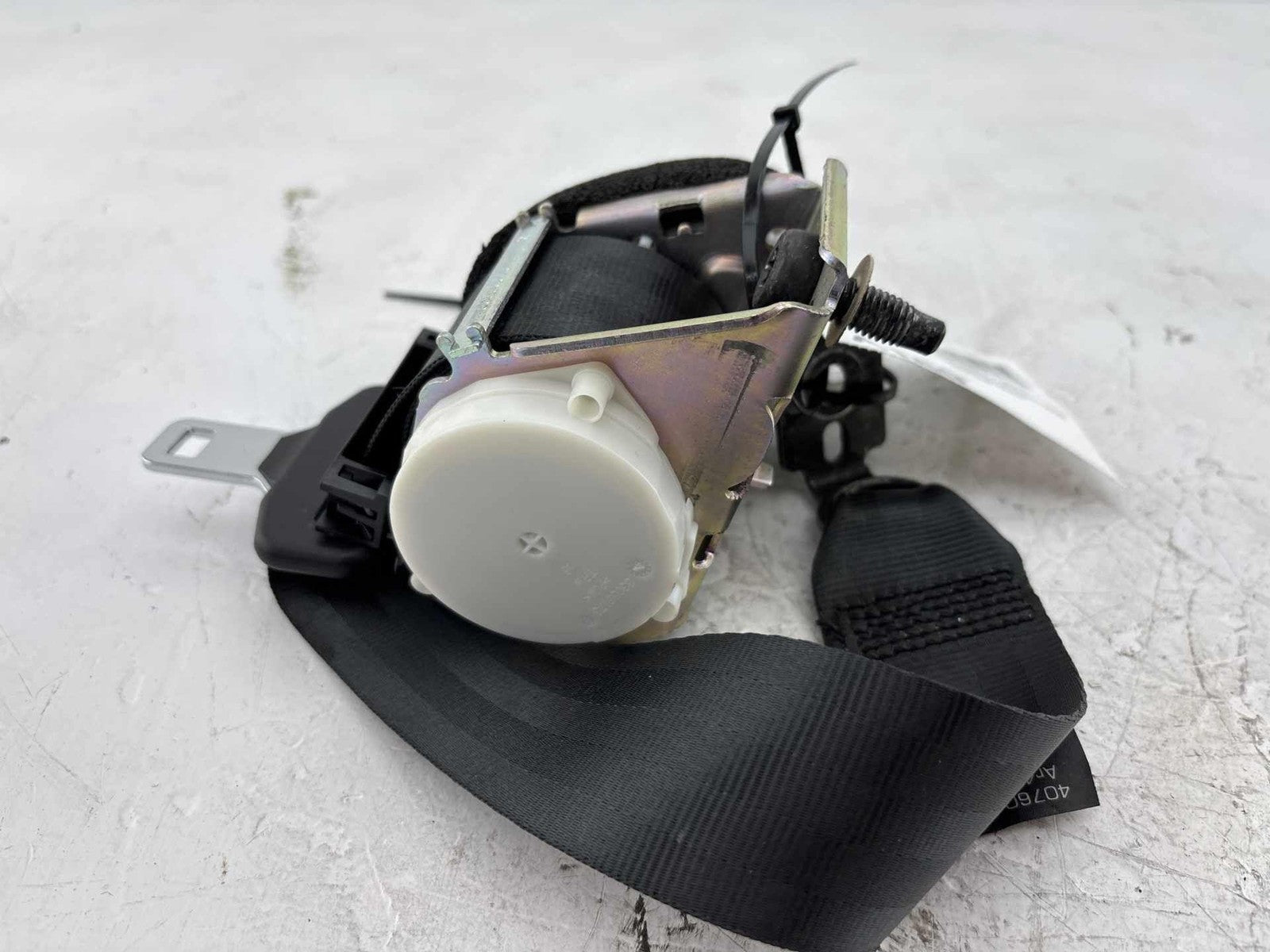 16-18 Ford Focus Rs Rear Right Seat Belt Oem