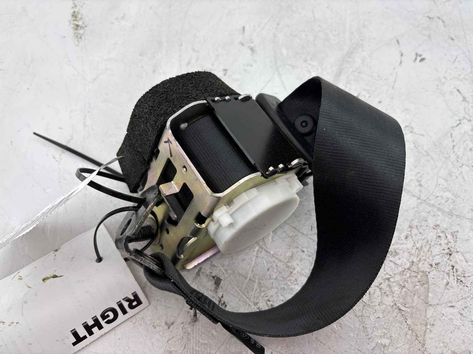 16-18 Ford Focus Rs Rear Right Seat Belt Oem