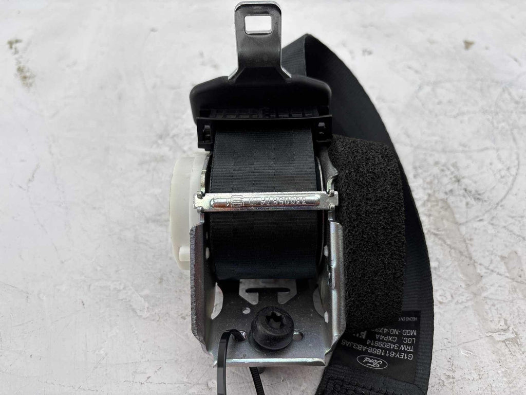 16-18 Ford Focus Rs Rear Left Seat Belt Oem