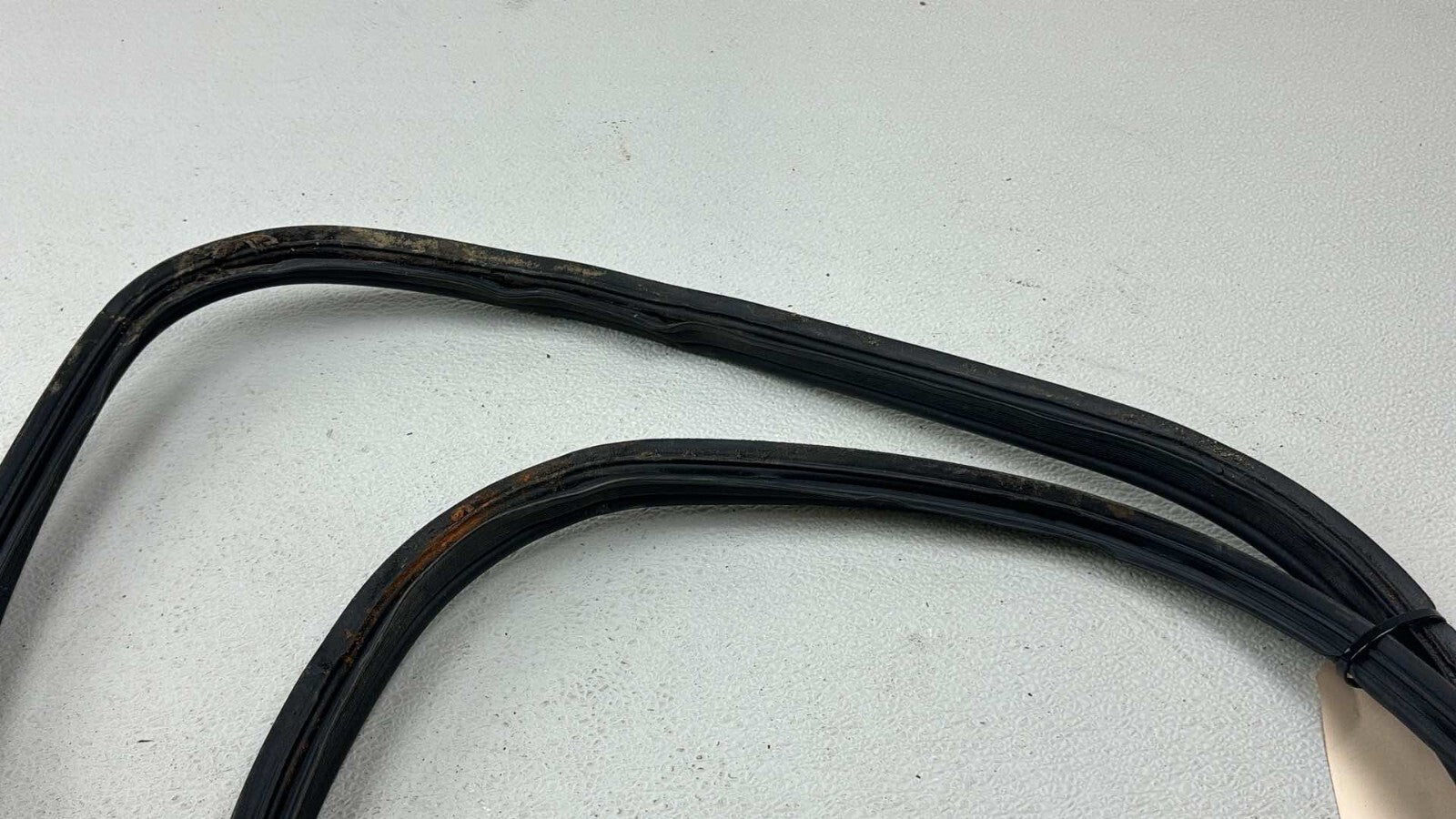 06-14 Lexus IS250 Front Right Side Door Seal Rubber Surround Weather Strip OEM